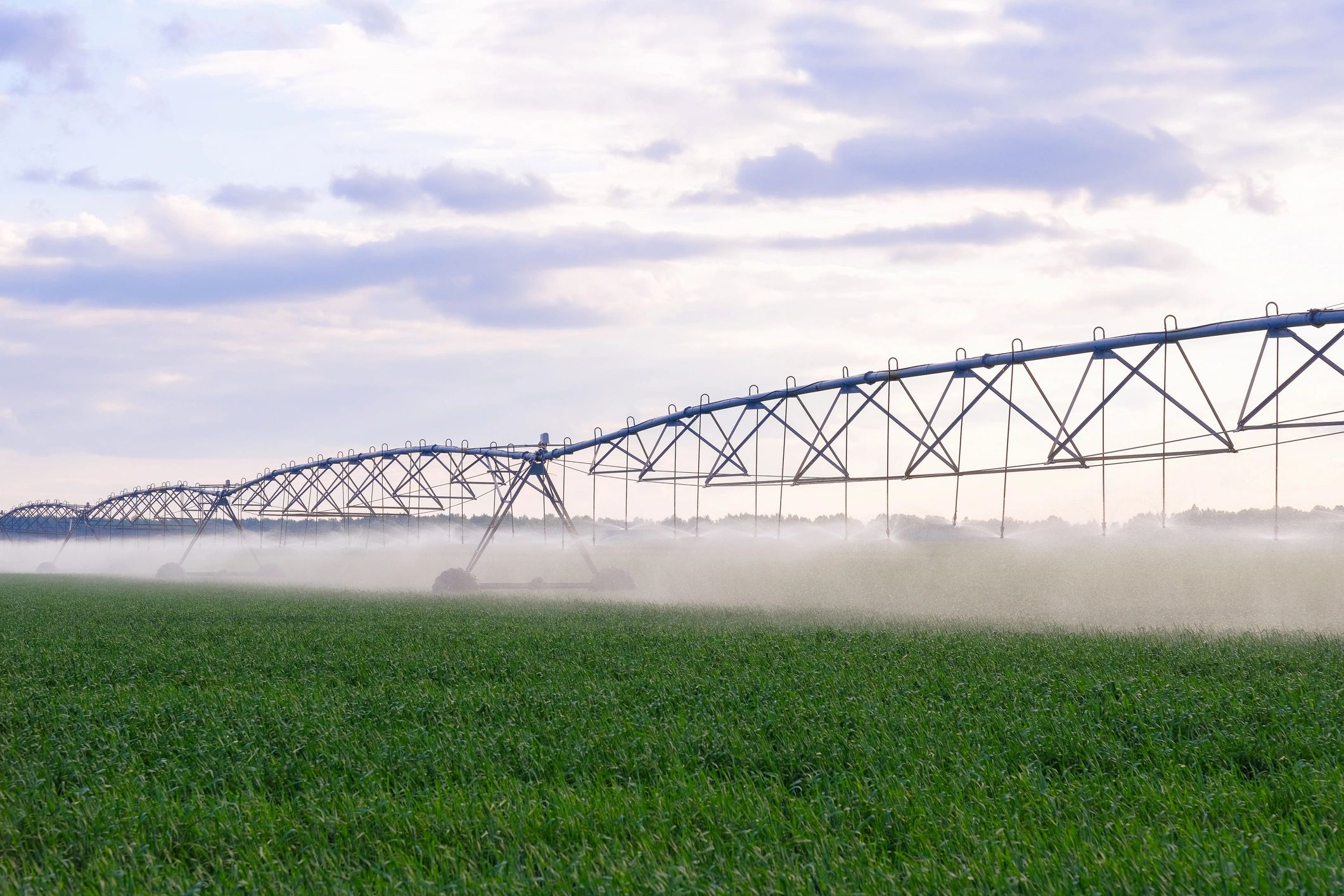 Automated irrigation system watering crops