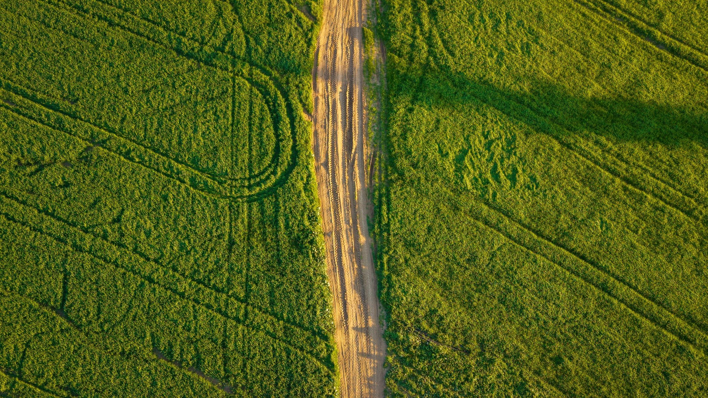 Aerial view of green agricultural fields